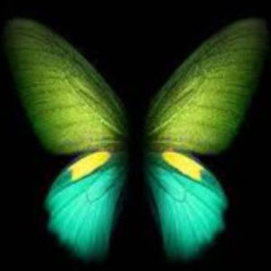 Meet your Posher, Amaya